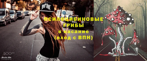 ПСИЛОЦИБИНОВЫЕ ГРИБЫ Горнозаводск