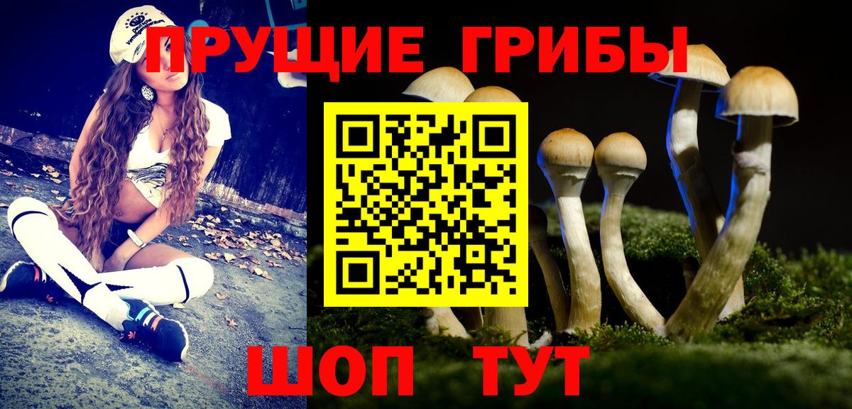 Псилоцибиновые грибы Psilocybine cubensis  цены наркотик  Моршанск 