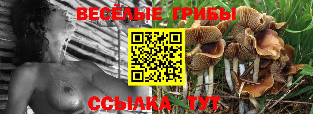 Псилоцибиновые грибы ЛСД Моршанск